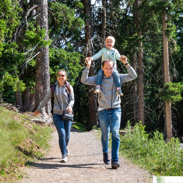 Professional cleaning services in Nashua, NH frees up time for hiking and other family activities.